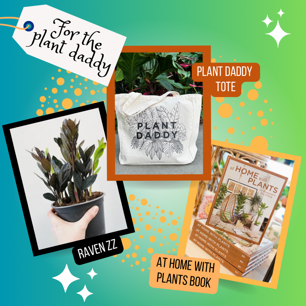 For the Plant Daddy - Gift Bundle