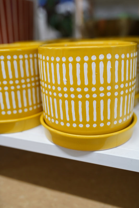 Yellow Lined Planter