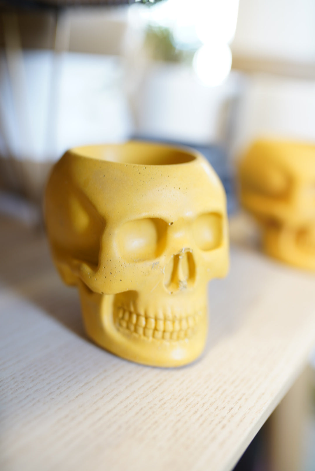 Skull Planter