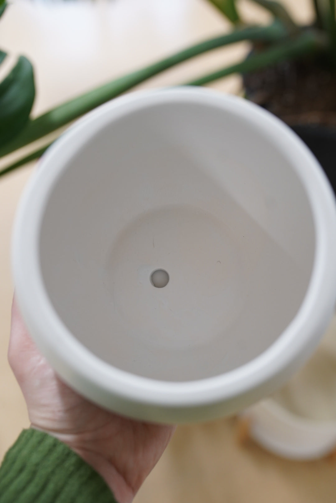 White Bowl Planter with Saucer
