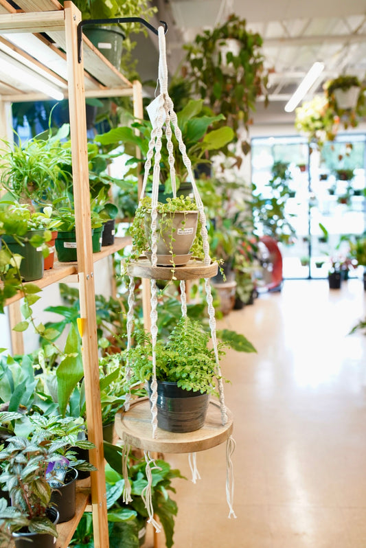 Tiered Shelf Plant Hanger