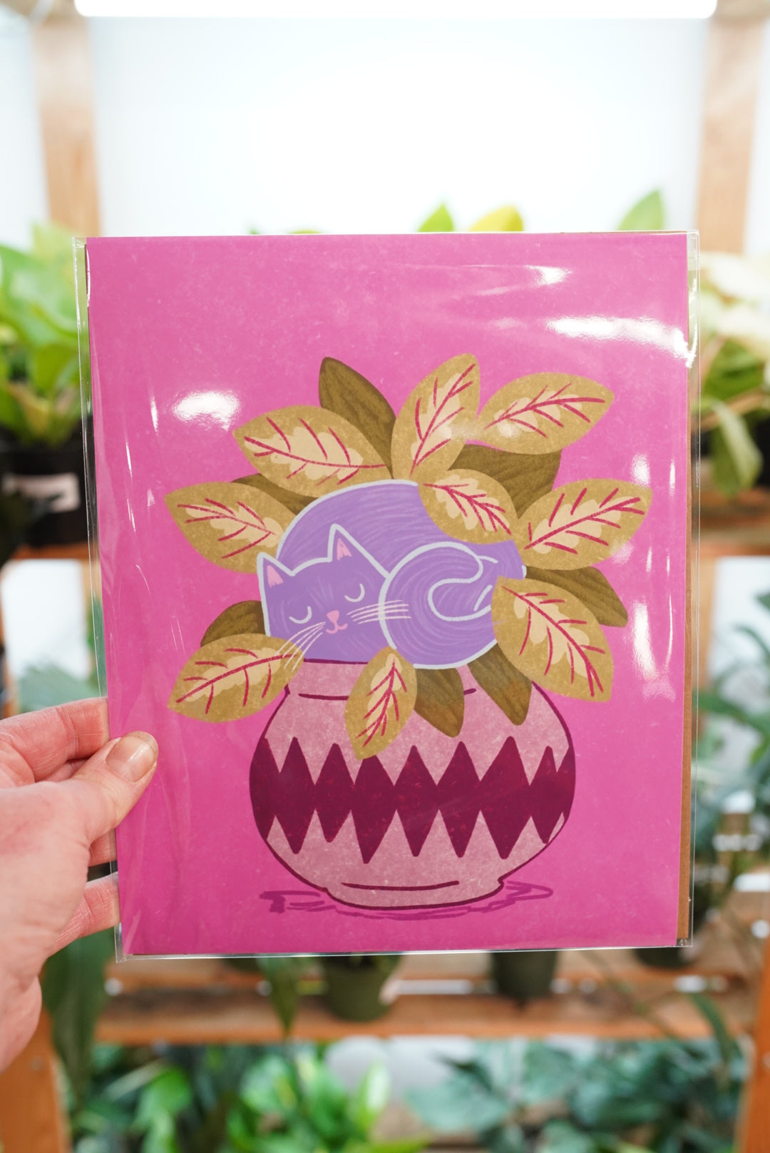 Plant Illustrations