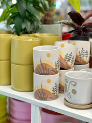 Mojave Pot