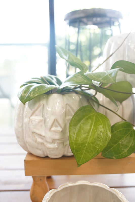 Glazed Pumpkin Planter