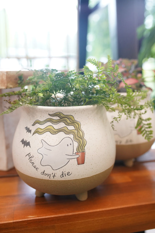 Optimistic Ghost Footed Planter