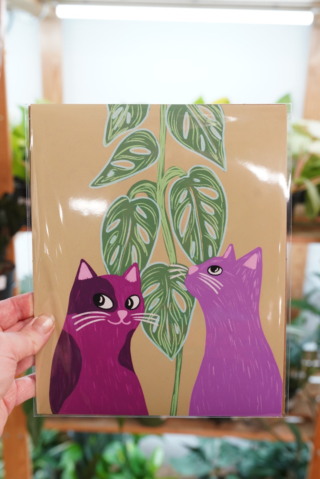 Plant Illustrations