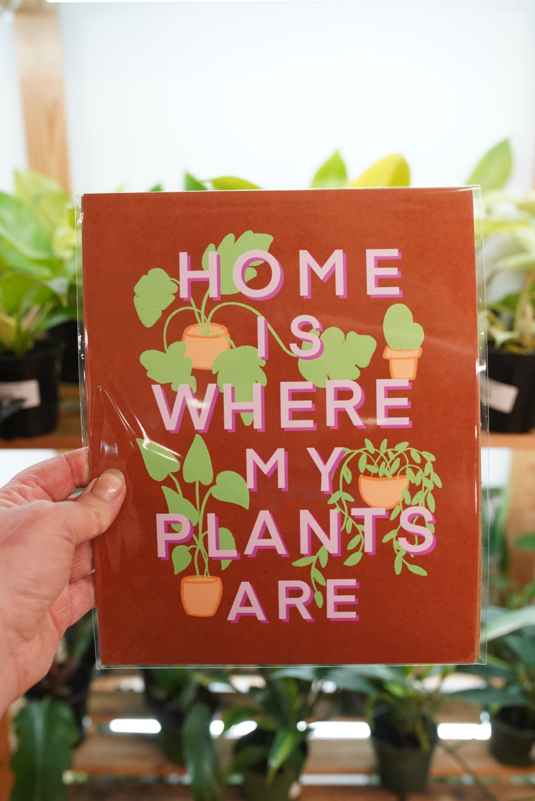 Plant Illustrations