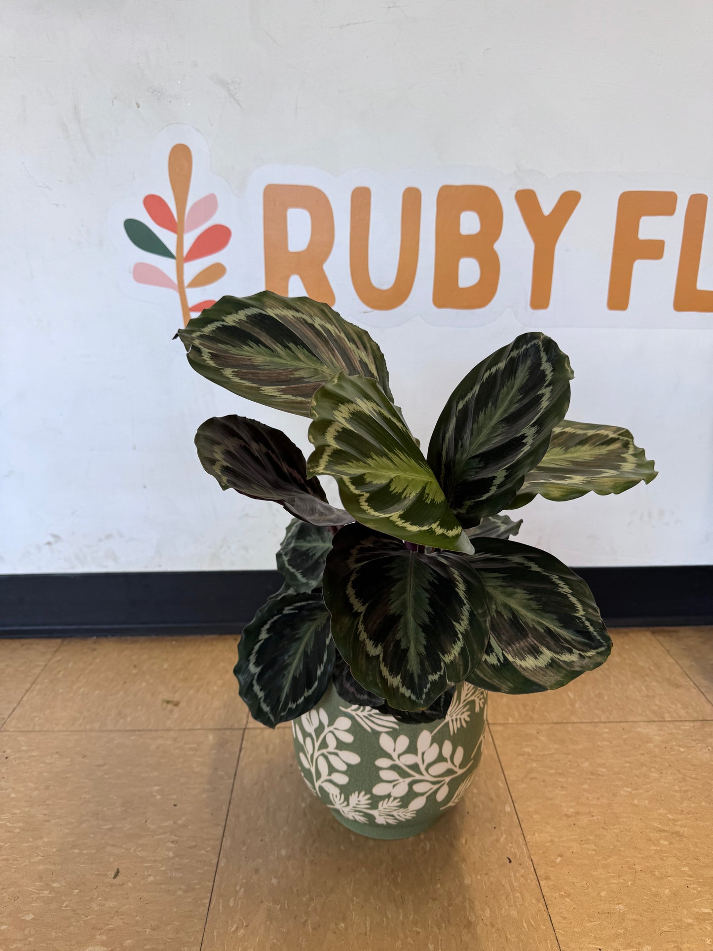 Green Textured Leaves Planter