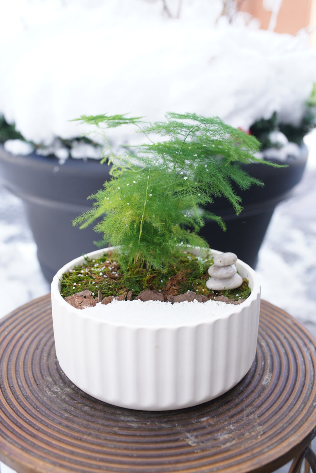 Winter Zen Garden Bowl Workshop - Saturday, January 10