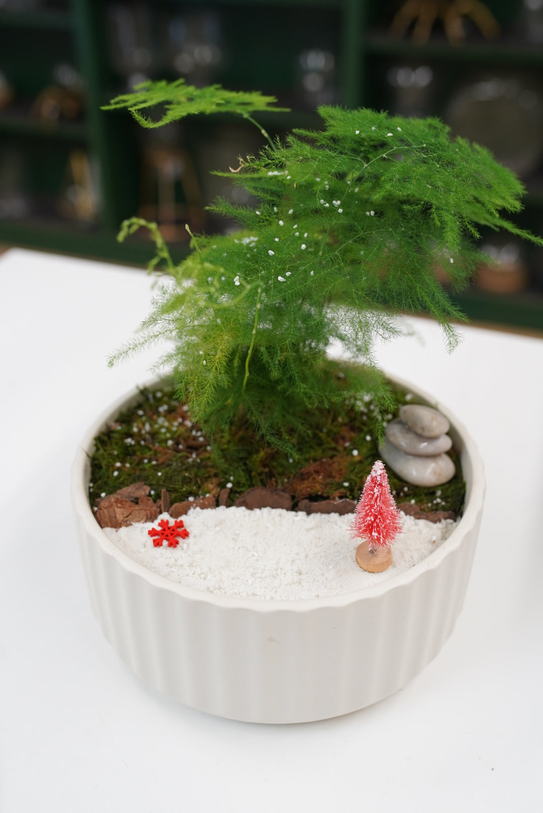 Winter Zen Garden Bowl Workshop - Saturday, January 10