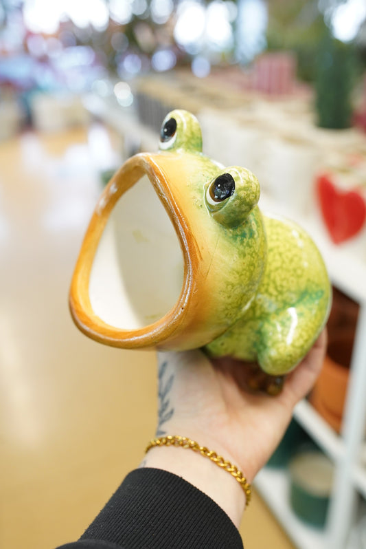 Ribbit and Root Planter