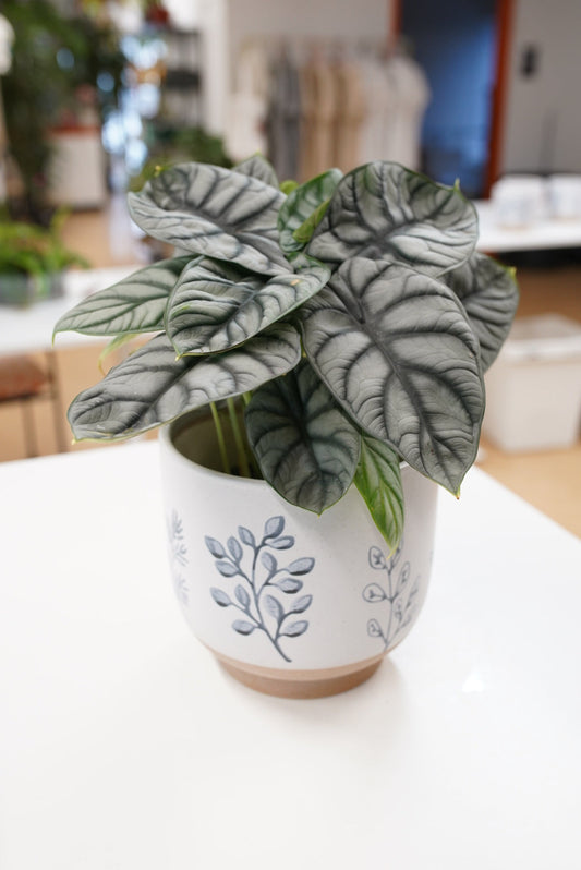 Blue and White Painted Leaf Planter