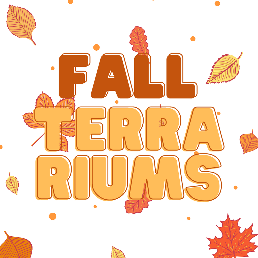 Fall Terrarium Workshop - Saturday, November 4