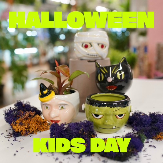 Three small Halloween-themed ceramic planters shaped like a mummy, a black cat, and Frankenstein's monster, arranged on a table with purple moss and green text reading 'HALLOWEEN KIDS DAY'.