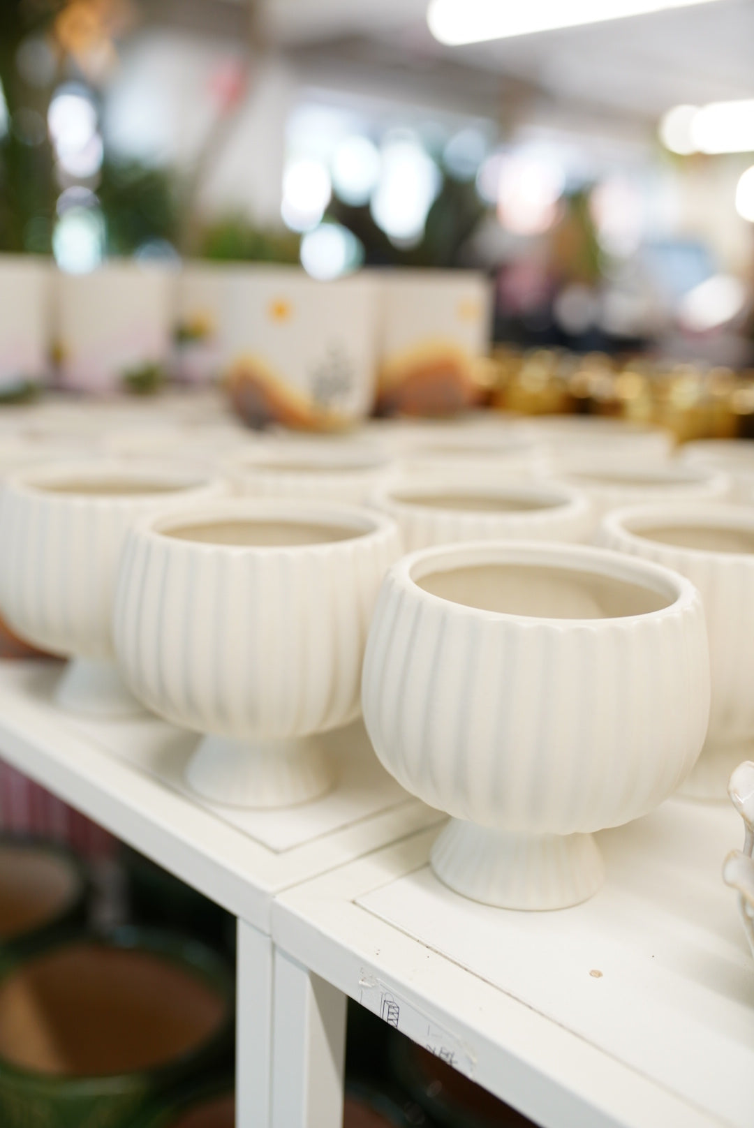 Sonata Compote Planter