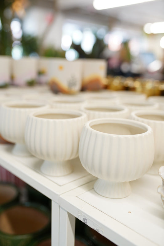Sonata Compote Planter