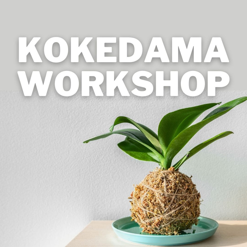 Kokedama Workshop - Sunday, October 8