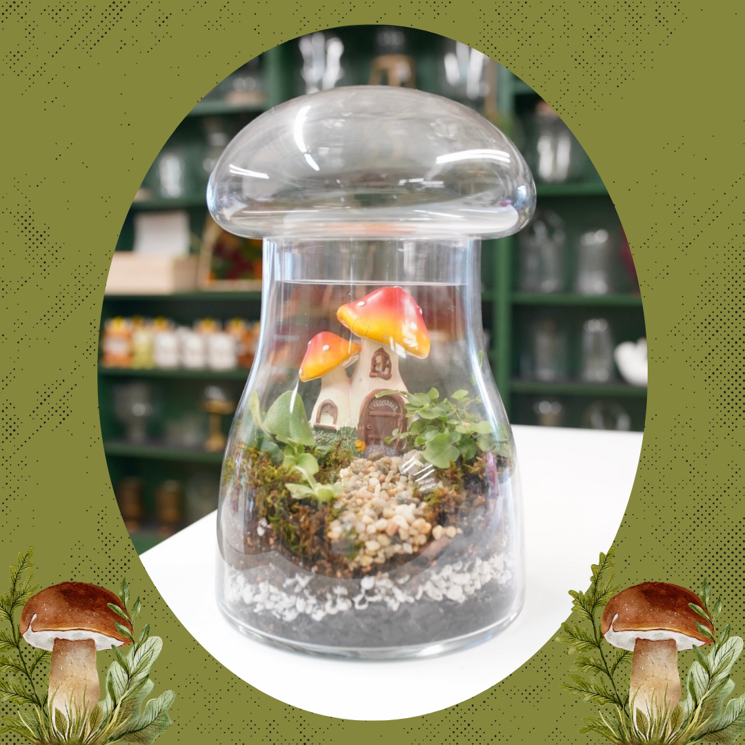 Mushroom House Terrarium - Saturday, April 26