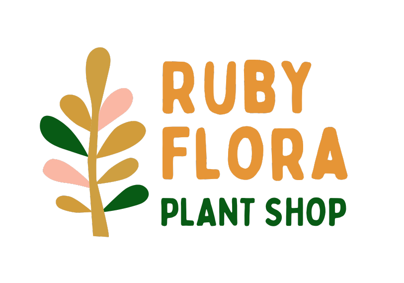Plant Installations and Maintenance Ruby Flora Plant Shop