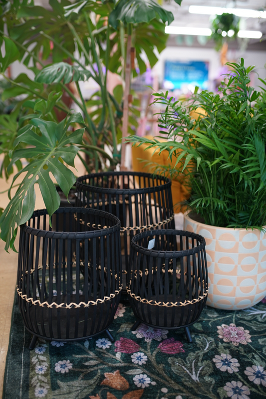Black Bamboo Plant Stand