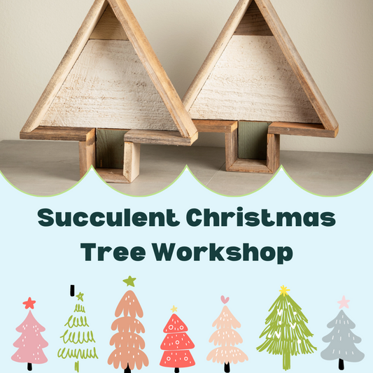 Succulent Christmas Tree Workshop - Saturday, December 7