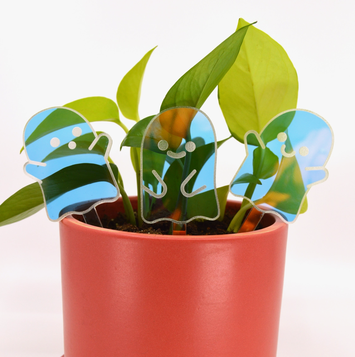 Ghost Plant Pick