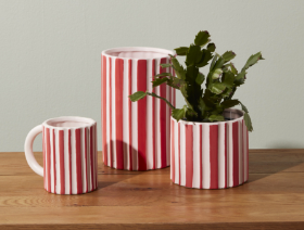 Peppermint Planter