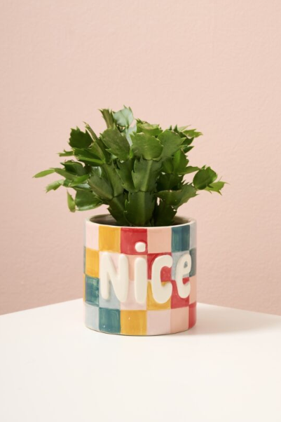 Naughty or Nice Planter