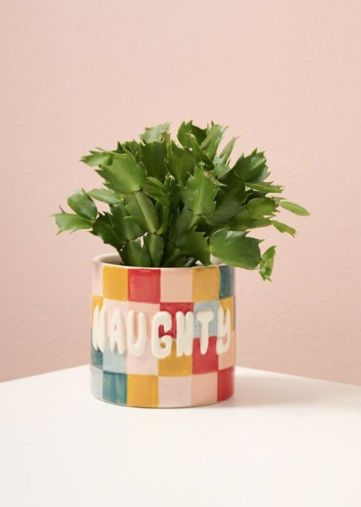 Naughty or Nice Planter