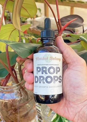 Prop Drops Rooting Hormone