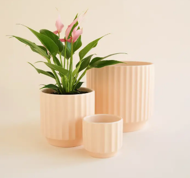 Monroe Planter