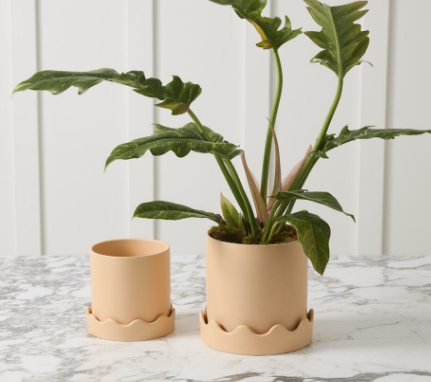 Pissaro Planter with Saucer