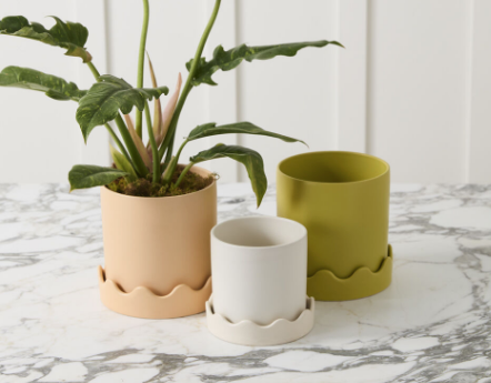Pissaro Planter with Saucer