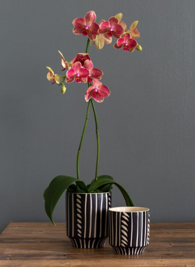 Ziva Planter