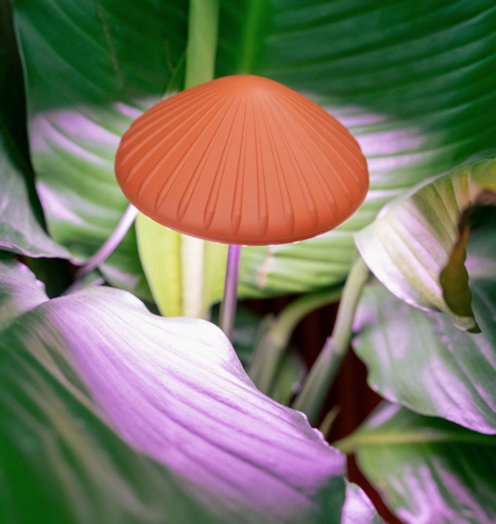 Mushroom Grow Light
