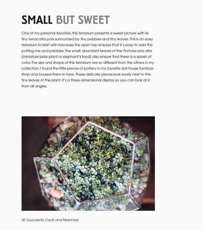 Terrarium Imaginarium Hardcover Book