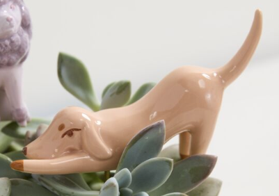 Playful Pups Plant Picks