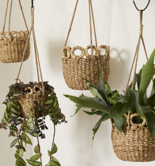 Verse Hanging Basket