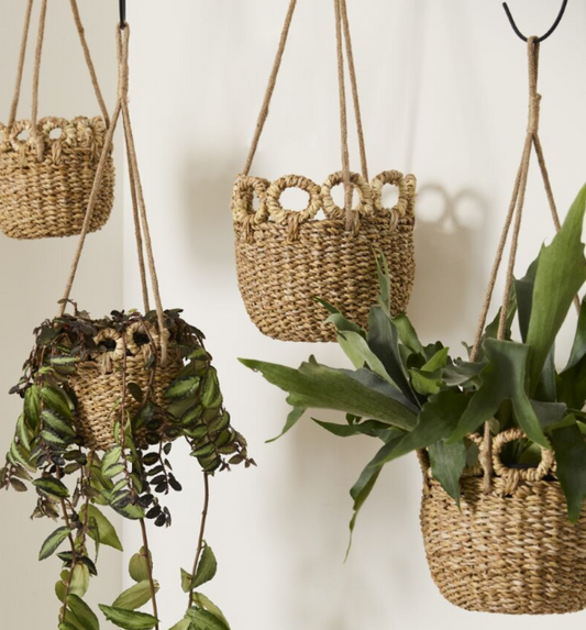 Verse Hanging Basket