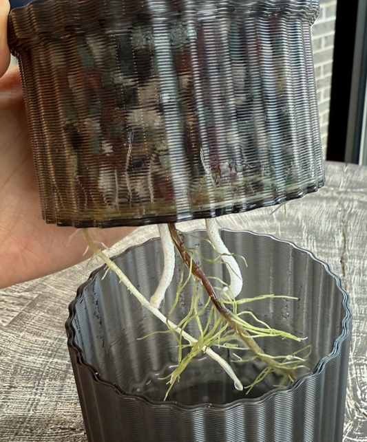 3.5" Monk Classic Self-Watering Planter