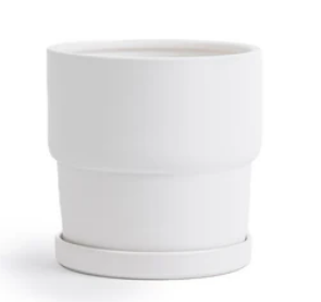 Calyx Planters with Saucers