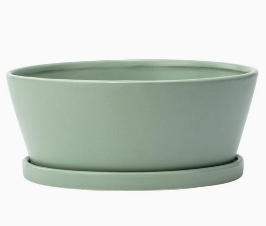 Green Dish Garden w/ saucer