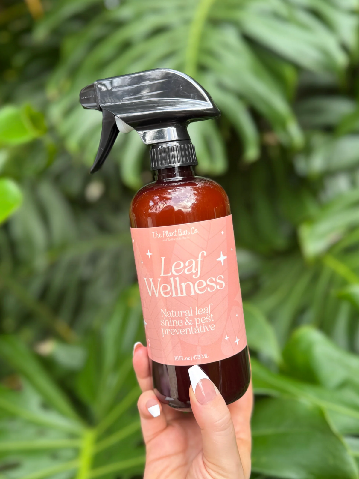 Leaf Wellness Leaf Shine | Pest Deterrent