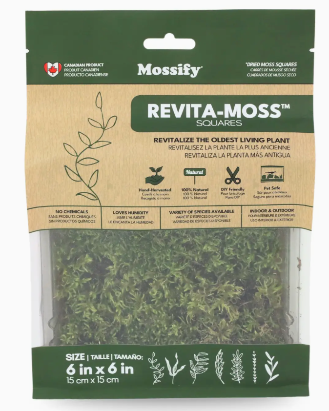 Mossify Revita-Moss Squares