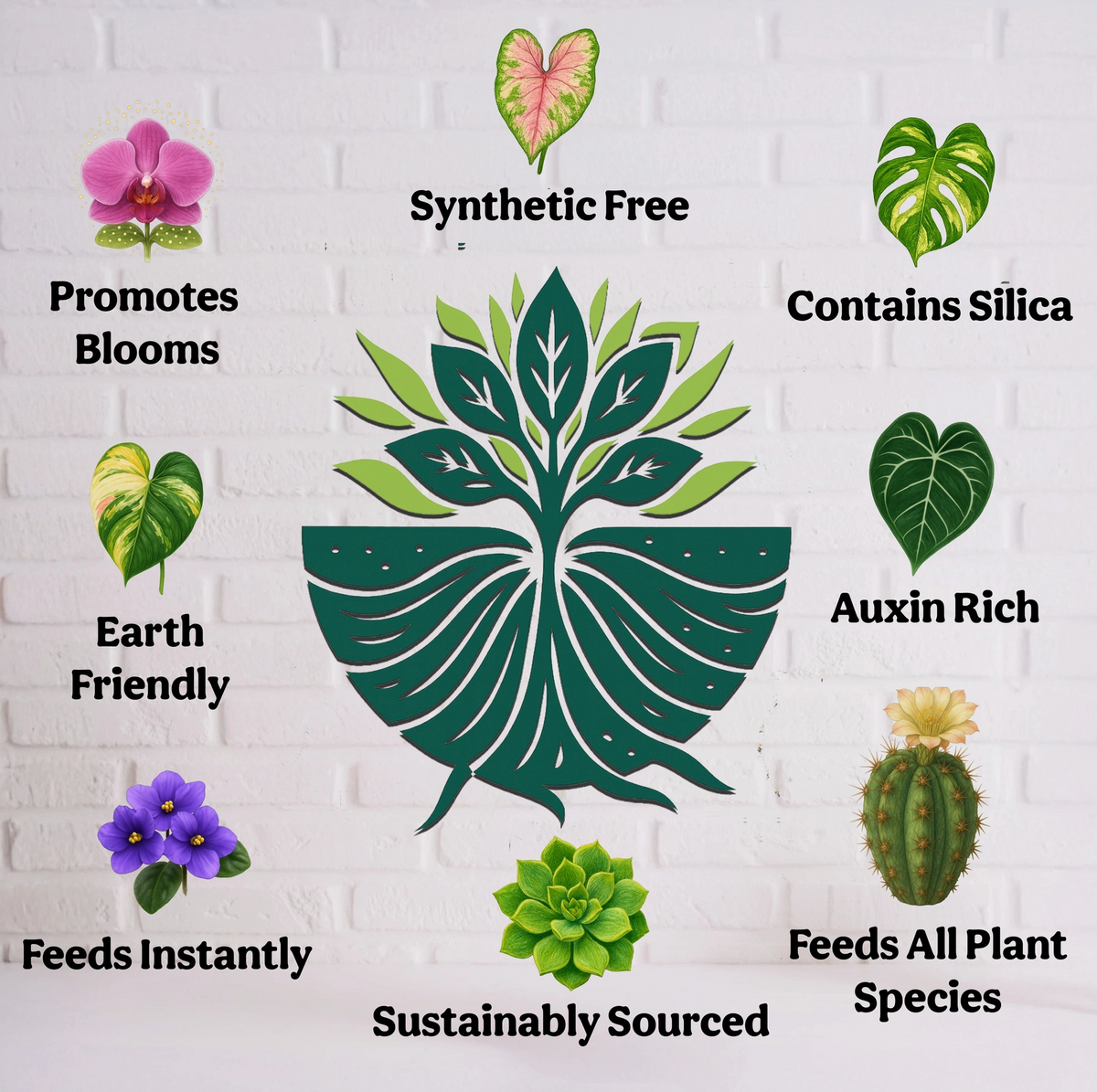 Grow Queen Liquid 5-5-5 Plant Food