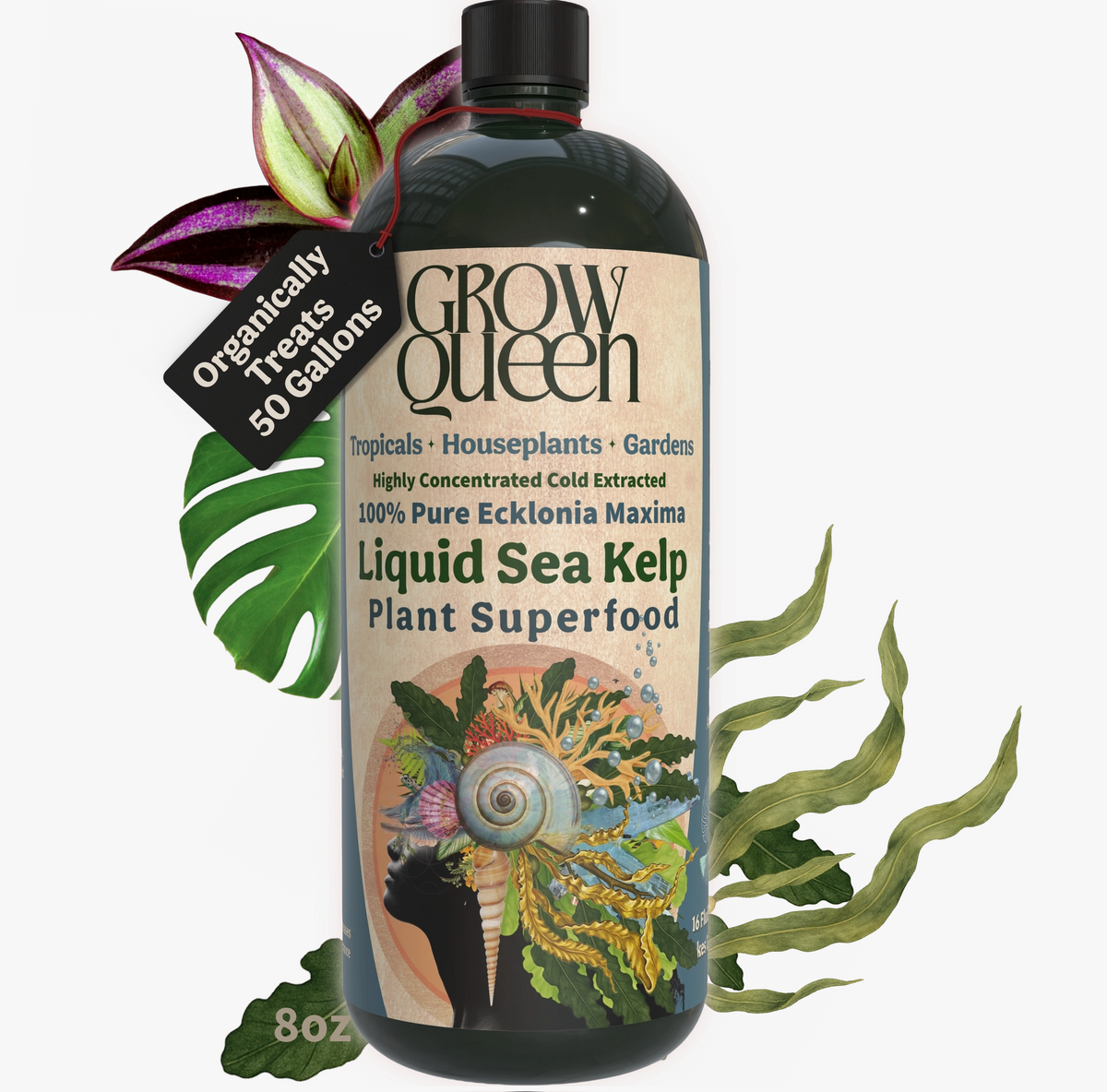 Grow Queen 100% Liquid Kelp Extract Plant Superfood