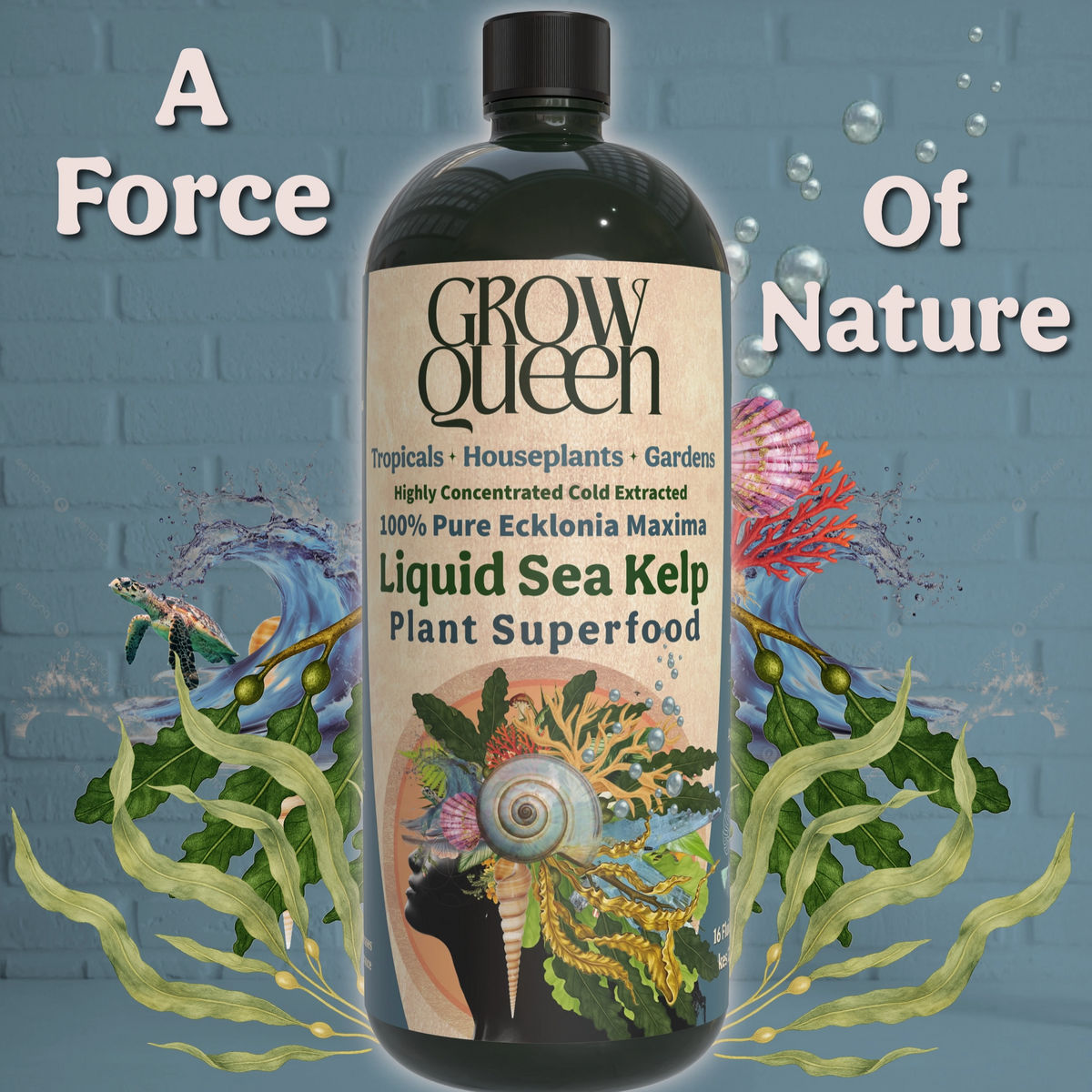 Grow Queen 100% Liquid Kelp Extract Plant Superfood