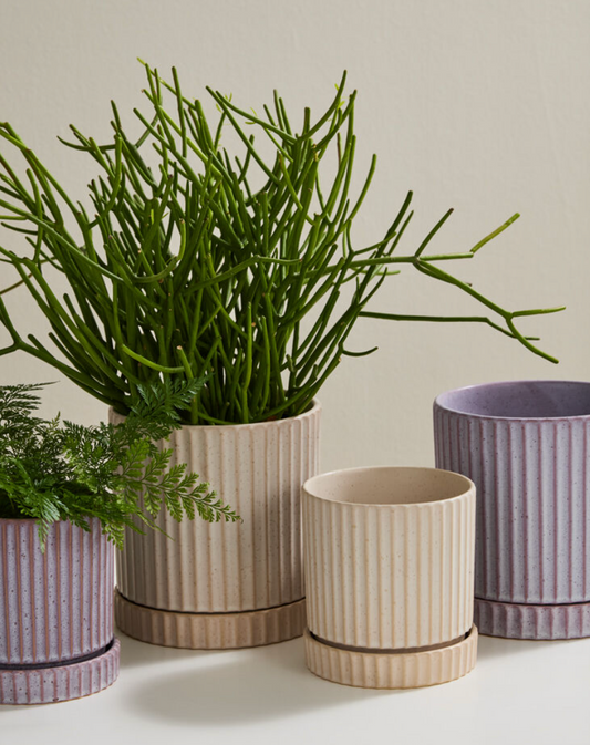 Los Feliz Planter
