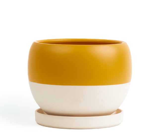 Bolle Pot w/Water Saucer