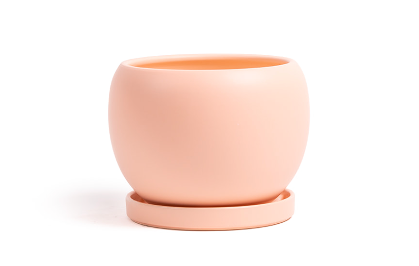 Bolle Pot w/Water Saucer